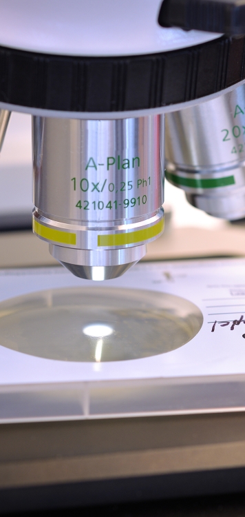 Improving the culture of microbiology diagnostics
