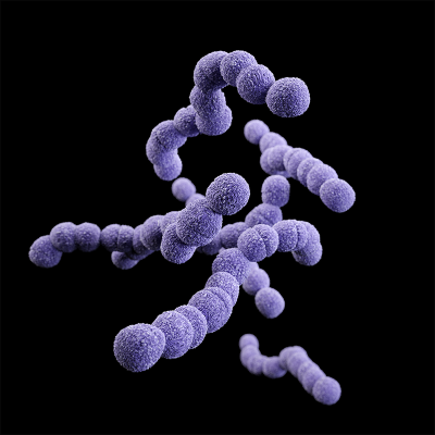 InTray® COLOREX™ GBS